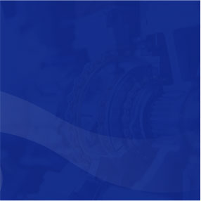 z6com-�й�Ψһ����